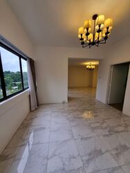 The Cairnhill (D9), Condominium #620075791
